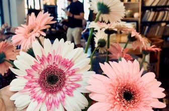 [☕️🇻🇳] Tungbook Coffee Hà Nội 🥤 Top1Coffee ☕️ Nhân sinh như mộng, mộng đẹp như hoa, nhưng hoa kia chóng tàn, đời người chóng qua…
#Tungbookcoffee, #cafesach
, shares-0✔️ , likes-16❤️️ , date-2020-05-05 05:11:19🇻🇳🇻🇳🇻🇳📰🆕