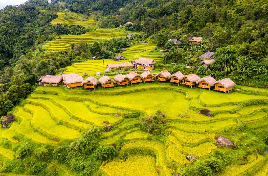 Cảnh đẹp Hà Giang. Vẻ đẹp của Hoàng Su Phì