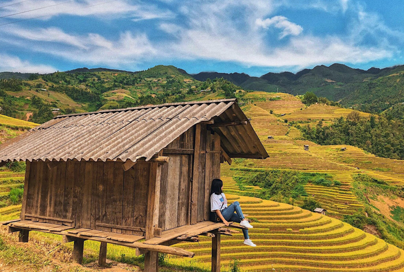 Cảnh đẹp Hà Giang mùa lúa chín