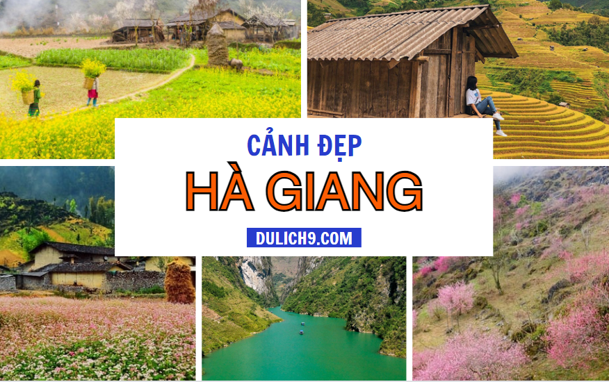 Hà Giang có gì đẹp? Cảnh đẹp Hà Giang 4 mùa