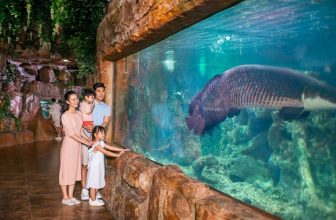 [🍜🥤🇻🇳] Địa điểm vui chơi cho bé dịp 1/6 ở Hà Nội