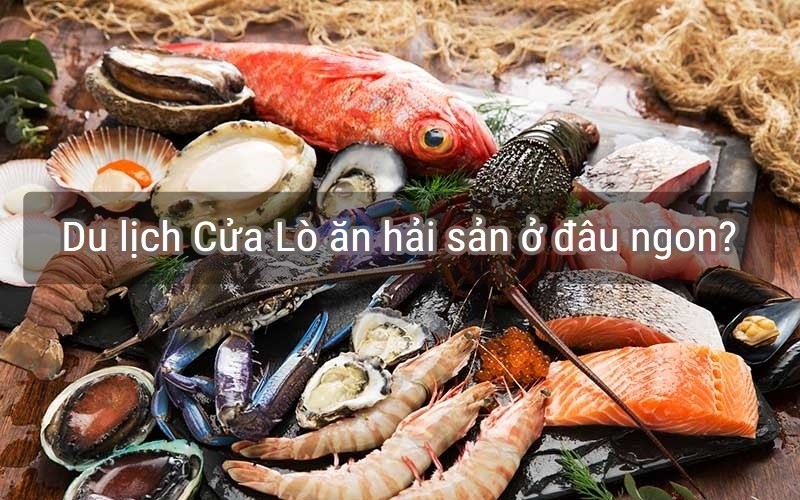 [🆕🇻🇳] DABI’s House – Chuyên Thời Trang Trẻ Em Cao Cấp 😎❤️️⭐️ 𝑻𝒓𝒐̂𝒏𝒈 𝒙𝒂 𝒄𝒖̛́ 𝒕𝒉𝒂̂́𝒚 𝒎𝒐̛̀ 𝒎𝒐̛̀
𝑯𝒐𝒂́ 𝒓𝒂 đ𝒐̛𝒏 𝒈𝒊𝒂̉𝒏 𝒍𝒂̀ 𝒎𝒐̛̀ 𝒆̂ 𝒎𝒆̂  #Xuhuong #Capcut #Dabihouse #Chuyenthoitrangtreem #Bodihoc #Bocottoncaocap #Bobetrai  , shares-0✔️ , likes-0❤️️ , date-2024-05-14 04:40:07🇻🇳🇻🇳🇻🇳📰🆕