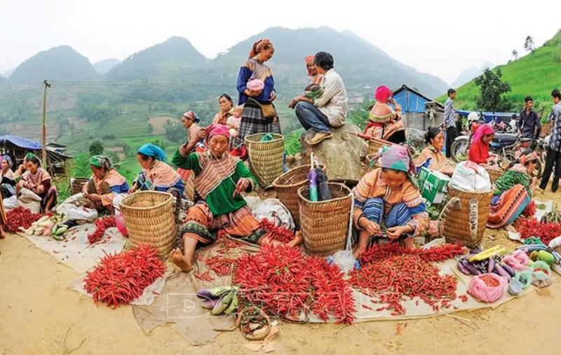 Du lịch Hà Giang tháng 6 có gì đẹp? Phiên chợ vùng cao Hà Giang