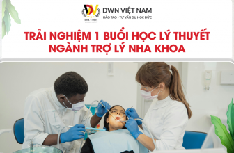 Trải Nghiệm 01 Buổi Học Lý Thuyết Ngành Trợ Lý Nha Khoa  [👨‍🎓🇻🇳] dwn.com.vn