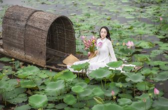 [🆕🇻🇳] Trước khi chụp hình với hoa sen cần lưu ý điều gì?