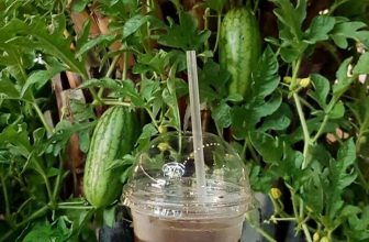 [☕️🇻🇳] WaterBiz Coffee – Cà phê và trà 🥤 Top1Coffee ☕️ Tình yêu Biz ơi..Em đứng đây từ chiều…đợi chờ 
Những ngày mưa  em lớn lên theo từng giờ ..đợi chờ một ai đó..đến và bên em..vu , shares-0✔️ , likes-13❤️️ , date-2020-06-06 12:25:46🇻🇳🇻🇳🇻🇳📰🆕