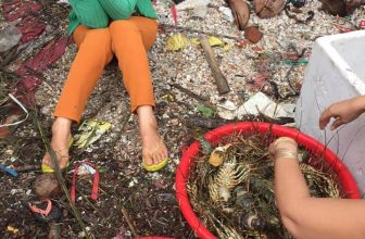 [☕️🇻🇳] NOC Coffee – Cafe bóng đá, cho thuê địa điểm offine, sinh nhật, sự kiện 🥤 Top1Coffee ☕️ XÓM NHỎ VEN BIỂN VỊNH XUÂN ĐÀI – PHÚ YÊN SÁNG NAY CHÌM TRONG TIẾNG KHÓC !!!
Tôm hùm hải sản lớn, nhỏ bà con nuôi ch.ết sạch vì n , shares-0✔️ , likes-0❤️️ , date-2020-11-12 14:06:32🇻🇳🇻🇳🇻🇳📰🆕