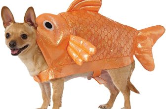 [🆕🇻🇳] Yêu Thú Cưng 🐶🦜 Top1Pets 🐱🐠 Nghe nói trend năm 2021 là “NÀNG TIÊN CÁ”
, shares-1✔️ , likes-104❤️️ , date-2021-01-03 11:30:01🐶🐱🇻🇳🇻🇳🇻🇳📰🆕