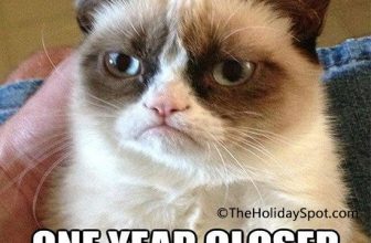 [🆕🇻🇳] Yêu Thú Cưng 🐶🦜 Top1Pets 🐱🐠 Lại thêm 1 năm sớm die hơn
, shares-1✔️ , likes-36❤️️ , date-2021-01-01 16:09:34🐶🐱🇻🇳🇻🇳🇻🇳📰🆕