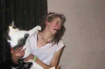 [🆕🇻🇳] Yêu Thú Cưng 🐶🦜 Top1Pets 🐱🐠 Đã bảo là ko thích chụp ảnh mà lạiiii méoooo
#Méng đồ chua ngoa đanh đá cá cầy :(((
, shares-3✔️ , likes-234❤️️ , date-2016-06-29 11:02:10🐶🐱🇻🇳🇻🇳🇻🇳📰🆕