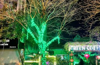 [☕️🇻🇳] Green Coffee Hà Nam 🥤 Top1Coffee ☕️ Lâu lâu Green lên sóng cho mọi người đỡ quên ạ!!!
Cảm ơn quý khách rất nhiều
#mùng2Tết2021
#greencoffeehanam
#cafesanvuon
, shares-0✔️ , likes-6❤️️ , date-2021-02-14 06:57:34🇻🇳🇻🇳🇻🇳📰🆕