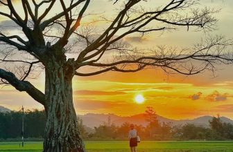 [🆕🇻🇳] Check in Vietnam – Cùng nhau trải nghiệm và và khám phá Việt Nam ♥️️ Top1Checkin ☑  Một mình ở Buôn Ma Thuột một tháng của cô gái đam mê xê dịchLại là mình, cô gái thích đi du lịch một mình khám phá Việt Nam. Mỗi mảnh đất mình đi qua đề , shares-313✔️ , likes-3K❤️️ , date-2024-06-04 08:30:04🇻🇳🇻🇳🇻🇳📰🆕