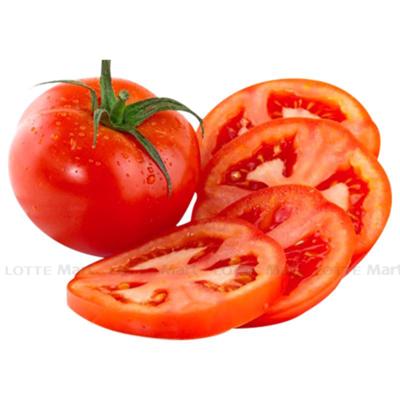 Cร chua Bแบฏc 1kg