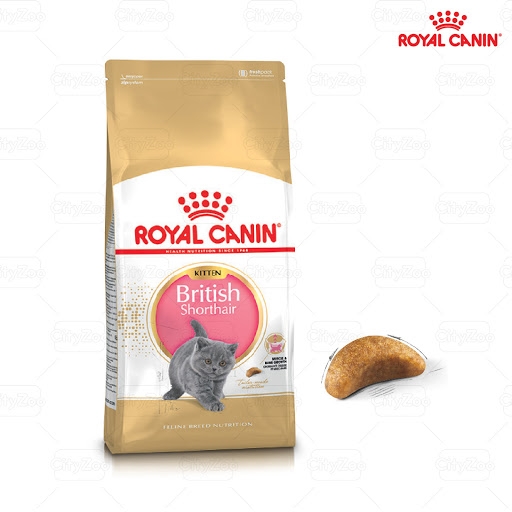 [🛒🇻🇳]Royal Canin British Shorthair Kitten – ROYAL CANIN , SKU – RC251960 – petcung.vn 🇻🇳🛒Top1Shop🛒 🇻🇳Top1Vietnam🇻🇳 🛍🛒🇻🇳
