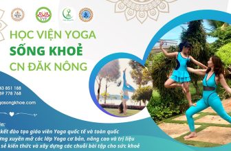 [🆕🇻🇳] Yoga Hoàng Anh – Học Viện Sống Khỏe 🧘 Top1Yoga 🧘  , shares-0✔️ , likes-1❤️️ , date-2022-02-20 06:19:57🇻🇳🇻🇳🇻🇳📰🆕