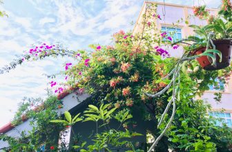 [☕️🇻🇳] Paris Coffee 🥤 Top1Coffee ☕️ MÙA HẠ
Ban mai
…
Mùa hạ
Xuân Quỳnh
Đó là mùa của những tiếng chim reo
Trời xanh biếc, nắng tràn trên khắp ngả
Đất thàn , shares-0✔️ , likes-2❤️️ , date-2022-05-04 23:40:03🇻🇳🇻🇳🇻🇳📰🆕