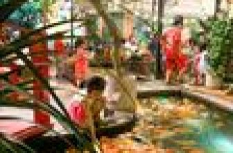 [☕️🇻🇳] Koilands Coffee 🥤 Top1Coffee ☕️ Chúc cả nhà cuối tuần vui vẻ !
, shares-2✔️ , likes-29❤️️ , date-2022-05-13 12:28:21🇻🇳🇻🇳🇻🇳📰🆕