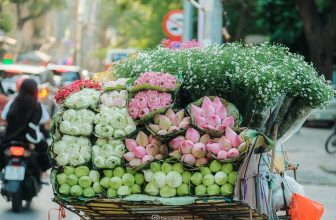 [🆕🇻🇳] Wecheckin.vn – Travel Blog – Chuyên trang chia sẻ kinh nghiệm du lịch và review homestay ♥️️ Top1Checkin ☑  Có một Hà Nội bước sang Thu  Nếu bạn có dịp đặt chân tới Hà Nội trong những ngày thu thì đừng phí thời gian cho việc ngủ nướng, bật dậy và bước ra ngoài ba , shares-21✔️ , likes-22❤️️ , date-2022-09-12 07:05:39🇻🇳🇻🇳🇻🇳📰🆕