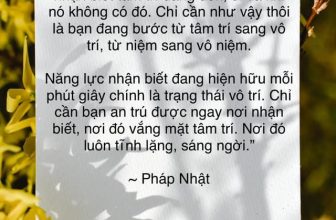 [🆕🇻🇳] An Yoga – Phòng tập dạng home studio, quy mô nhỏ 🧘 Top1Yoga 🧘 𝐋𝐚̀𝐦 𝐬𝐚𝐨 𝐜𝐡𝐨 𝐭𝐚̂𝐦 𝐭𝐫𝐢́ 𝐢𝐦 𝐥𝐚̣̆𝐧𝐠 ?Bản chất của tâm trí là luôn ồn ào, luôn vận hành. Tâm trí không thể nào im lặng được. Nếu bạn vẫn còn trú ngụ nơi tâm  , shares-0✔️ , likes-6❤️️ , date-2022-12-09 05:14:18🇻🇳🇻🇳🇻🇳📰🆕
