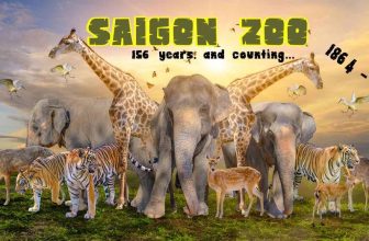 [🆕🇻🇳] Thảo Cầm Viên – Sài gòn Zoo & Botanical Gardens ♥️️ Top1Checkin ☑  Thảo Cầm Viên Sài gòn , shares-6✔️ , likes-620❤️️ , date-2024-05-31 08:23:18🇻🇳🇻🇳🇻🇳📰🆕