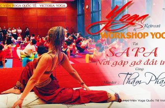 [🆕🇻🇳] Học Viện Yoga Quốc Tế Victoria 🧘 Top1Yoga 🧘 Chương trình sự Kiện Yoga Được Mong chờ Nhất….
, shares-2✔️ , likes-20❤️️ , date-2023-03-05 10:18:41🇻🇳🇻🇳🇻🇳📰🆕