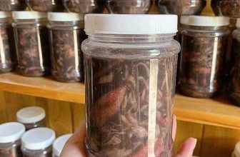 [🆕🇻🇳] Mắm Huế Chính Hiệu RI Nguyễn 🍔 Top1Food 🍜  MẮM MỰC , Đặc Sản 79k/hủ/550gram
, shares-1✔️ , likes-51❤️️ , date-2023-02-28 09:44:32🇻🇳🇻🇳🇻🇳📰🆕