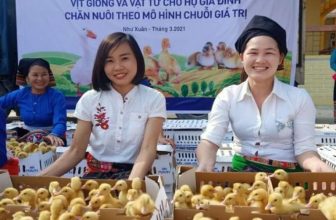 [💼🇻🇳] TUYỂN DỤNG MAVIN 👁 Top1Jobs👥 Mavin Group và nỗ lực hỗ trợ cộng đồng, phát triển bền vững , shares-0✔️ , likes-0❤️️ , date-2024-05-28 02:18:34🇻🇳🇻🇳🇻🇳📰🆕