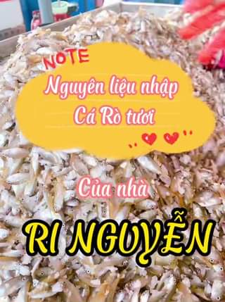 [🆕🇻🇳] Mắm Huế Chính Hiệu RI Nguyễn 🍔 Top1Food 🍜  Nguyên liệu nhà Ri luôn nhập cá Rò tươi xanh các bác ạ
#MắmCáRò_39K
 , shares-0✔️ , likes-96❤️️ , date-2023-06-09 06:01:18🇻🇳🇻🇳🇻🇳📰🆕