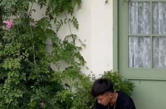 [☕️🇻🇳] Anaiis Concept – Café 🥤 Top1Coffee ☕️ ” Có những hạnh phúc đến muộn, nhưng vì ta xứng đáng được hạnh phúc nên nó nhất định sẽ đến.”
——————————— , shares-0✔️ , likes-0❤️️ , date-2023-06-22 02:11:34🇻🇳🇻🇳🇻🇳📰🆕