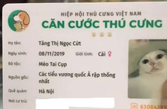 [🆕🇻🇳] Thú Cưng 🐶🦜 Top1Pets 🐱🐠 Bà già đặt cho cái tên choáy quá choáy :))
, shares-2✔️ , likes-214❤️️ , date-2023-08-15 09:21:18🐶🐱🇻🇳🇻🇳🇻🇳📰🆕