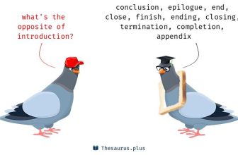 [🆕🇻🇳] Học tiếng anh mỗi ngày 📚 Top1Learn 📕 Intro: Sự giới thiệu
Outtro: Sự kết thúc
#researchwithgem
, shares-0✔️ , likes-4❤️️ , date-2023-08-22 08:51:35🇻🇳🇻🇳🇻🇳📰🆕