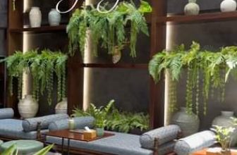 [☕️🇻🇳] An’s Garden Café 🥤 Top1Coffee ☕️  , shares-1✔️ , likes-116❤️️ , date-2023-09-05 14:50:21🇻🇳🇻🇳🇻🇳📰🆕