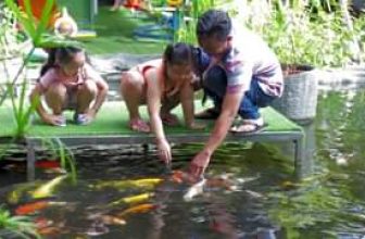 [☕️🇻🇳] Cà phê Ngọc Hà- Cafe sân vườn 🥤 Top1Coffee ☕️ Video lung linh của Cafe Ngọc Hà nè cả nhà ơi!!!
, shares-0✔️ , likes-48❤️️ , date-2018-10-13 07:37:58🇻🇳🇻🇳🇻🇳📰🆕