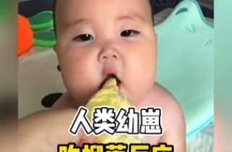 [🆕🇻🇳] Boone Baby – Chuyên quần áo, phụ kiện trẻ em cao 🧑‍🧒❤️️👶⭐️ Phản ứng của những đứa nhỏ khi được ăn sầu riêng #haihuoc #haihuocvuinhon #cuoivobung #cuoibebung #xuhuong #thoitrangtreem #BooneBaby
, shares-0✔️ , likes-0❤️️ , date-2023-11-28 13:02:29🇻🇳🇻🇳🇻🇳📰🆕