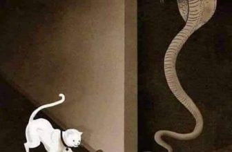 [🆕🇻🇳] Mê Đọc Sách – Trang sách mở ra, trời xa xích lại  📚 Top1Book 📖 Bạn sẽ không bao giờ biết được bạn đang chơi với ai, vì vậy xin hãy luôn tôn trọng mỗi người trong suốt cuộc đời bạn.
-Marco Melgrati
, shares-6✔️ , likes-33❤️️ , date-2023-12-04 16:04:00🇻🇳🇻🇳🇻🇳📰🆕📚