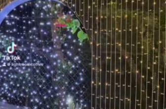 [☕️🇻🇳] LLightroom Coffee 🥤 Top1Coffee ☕️ Chúc Quý khách một mùa Giáng Sinh Ấm Áp , An Lành , Bình An và Hạnh Phúc
, shares-6✔️ , likes-247❤️️ , date-2023-12-07 15:53:22🇻🇳🇻🇳🇻🇳📰🆕