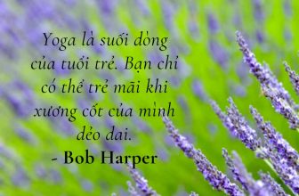 [🆕🇻🇳] Yogadaily – Trung tâm Yoga uy tín tại TPHCM 🧘 Top1Yoga 🧘 “Yoga là suối dòng của tuổi trẻ. Bạn chỉ có thể trẻ mãi khi xương cốt của mình dẻo dai.”
– Bob Harper. —————————
Hotline: 0902.633.569  , shares-0✔️ , likes-0❤️️ , date-2024-01-13 09:00:24🇻🇳🇻🇳🇻🇳📰🆕