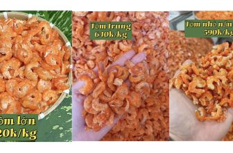 [🆕🇻🇳] Miền Tây Food – Chuyên các loại đặc sản miền tây loại 1 🍔 Top1Food 🍜 Tôm khô tăng giá mỗi ngày, mua trữ dần ăn tết nha khách ơi
, shares-0✔️ , likes-14❤️️ , date-2024-01-08 12:10:22🇻🇳🇻🇳🇻🇳📰🆕