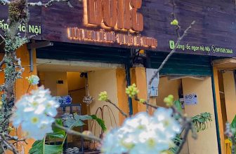 [🆕🇻🇳] Mood of I’ME 🍔 Top1Food 🍜 𝐂𝐚̀𝐧𝐡 𝐋𝐞̂ 𝐭𝐫𝐚̆́𝐧𝐠 đ𝐢𝐞̂̉𝐦 𝐦𝐨̣̂𝐭 𝐯𝐚̀𝐢 𝐛𝐨̂𝐧𝐠 𝐡𝐨𝐚…Nhớ mùa Xuân năm ngoái Bỗng – Ốc ngon Hà Nội phủ kín sắc trắng của hoa Lê. Một màu trắng trong trẻo, tinh k , shares-0✔️ , likes-3❤️️ , date-2024-03-17 04:07:21🇻🇳🇻🇳🇻🇳📰🆕