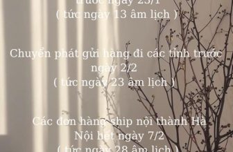 [🆕🇻🇳] P.H.Eberlly customers will be the most delicate girls 👕 Top1Fashion 👗  𝐏.𝐇.𝐄𝐛𝐞𝐫𝐥𝐥𝐲 gửi tới Nàng thông báo lịch vận chuyển đơn hàng cận 𝐓𝐞̂́𝐭   Các thiết kế của 𝐏.𝐇.𝐄𝐛𝐞𝐫𝐥𝐥𝐲 hầu như là sắp Hết Hàng , còn hơn chục ngày nữa bên mì , shares-0✔️ , likes-4❤️️ , date-2024-01-21 02:50:26🇻🇳🇻🇳🇻🇳📰🆕