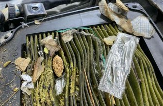 [🆕🇻🇳] 299.vn – Bike services for bike lovers by bike experts 🚗 Top1Go 🏍️  Bỉ ngạn nâu – cày như trâu giờ mới được đem đi sửa
-AdL-
, shares-1✔️ , likes-171❤️️ , date-2024-01-30 12:24:11🇻🇳🇻🇳🇻🇳📰🆕