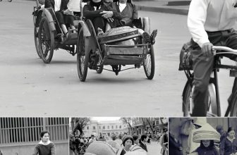 [🆕🇻🇳] Góc Xưa Nét Cũ ♥️️ Top1Life 📚  Tuyển tập những bức ảnh Khó Quên Về Phụ Nữ Hà Nội Năm 1973 _  ‎
, shares-7✔️ , likes-60❤️️ , date-2024-05-24 10:42:44🇻🇳🇻🇳🇻🇳📰🆕