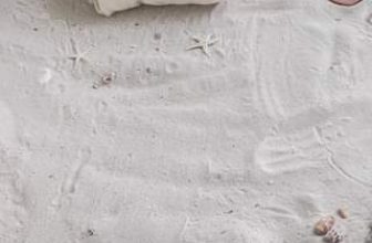 [🆕🇻🇳] H e s T i a 👕 Top1Fashion 👗  Chuẩn bị sẵn đồ xinh để diện vào hè này, lên kế hoạch cho những chuyến đi chữa lành theo một cách thật xinh đẹp nha các cô gái  #newcollection #summertime  , shares-0✔️ , likes-0❤️️ , date-2024-04-24 02:50:23🇻🇳🇻🇳🇻🇳📰🆕