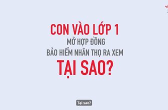 [🆕🇻🇳] Bảo hiểm Nhân thọ Prudential Việt Nam ♥️️ Top1Index 📚  Là cha mẹ, ai cũng muốn dành cho con những điều tốt đẹp nhất ngay từ sớm, mong muốn con được học hỏi, trải nghiệm và trưởng thành toàn diện. Đừng để những  , shares-76✔️ , likes-687❤️️ , date-2024-05-22 13:00:25🇻🇳🇻🇳🇻🇳📰🆕