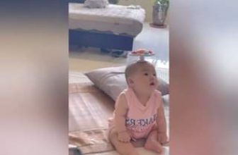 [🆕🇻🇳] HaTha Store – Hàng Xuất Khẩu 😎❤️️⭐️ Chong chóng tre nè Doraemon
, shares-0✔️ , likes-28❤️️ , date-2024-06-11 03:59:27🇻🇳🇻🇳🇻🇳📰🆕