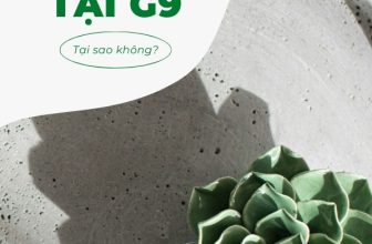 [🏙🇻🇳] G9 Homestay – Your second home 🏙️ Top1Land 🏠 TÌM HIỂU CÁC DỊCH VỤ CUNG CẤP BỞI G9 HOMESTAYBên cạnh dịch vụ lưu trú, G9 Homestay còn cung cấp cho quý khách hàng nhiều tiện ích khác, đảm bảo mang lại … , shares-1✔️ , likes-6❤️️ , date-2024-02-20 13:24:23🇻🇳🇻🇳🇻🇳📰🆕