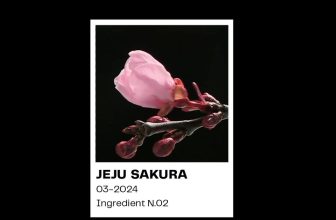 [☕️🇻🇳] Cheese Coffee 🥤 Top1Coffee ☕️ No.2 : Jeju SakuraSakura – hương thơm nhẹ nhàng mùa hoa đầu xuân, ẩn mình trong hương vị độc quyền của trái cây và mùi hương c , shares-1✔️ , likes-58❤️️ , date-2024-03-04 13:01:28🇻🇳🇻🇳🇻🇳📰🆕