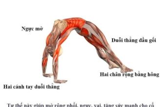 [🆕🇻🇳] Học Viện Đào Tạo Yoga International Angel Academy 🧘 Top1Yoga 🤸🏻‍♀️ Những tư thế Yoga lấy lại vòng eo con kiến
, shares-0✔️ , likes-4❤️️ , date-2024-03-01 01:27:44🇻🇳🇻🇳🇻🇳📰🆕