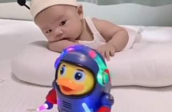 [🧸️🇻🇳] ZuZu – Đồ chơi trẻ em TP.HCM 🎈Top1Toys🧸️  Vịt DJ
, shares-0✔️ , likes-0❤️️ , date-2024-03-28 07:01:51🇻🇳🇻🇳🇻🇳📰🆕
