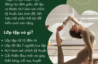 [🆕🇻🇳] 𝐘𝐎𝐆𝐀 𝐓𝐑ị 𝐋𝐈ệ𝐔 𝐓𝐇𝐀𝐍𝐇 𝐇𝐔𝐘ề𝐍 🧘 Top1Yoga 🤸🏻‍♀️ Yoga Trị liệu Thanh Huyền khai giảng lại các lớp sau Tết:
Ca full tuần: 6h->7h
+ Lớp tập từ thứ 2 đến thứ 6
+ Lớp tối đa 7 người/ca tập
+ Chuyên về Yoga  , shares-0✔️ , likes-11❤️️ , date-2024-03-11 01:48:29🇻🇳🇻🇳🇻🇳📰🆕
